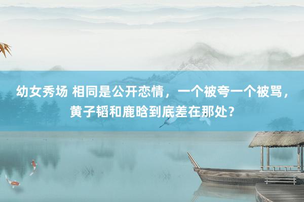 幼女秀场 相同是公开恋情，一个被夸一个被骂，黄子韬和鹿晗到底差在那处？