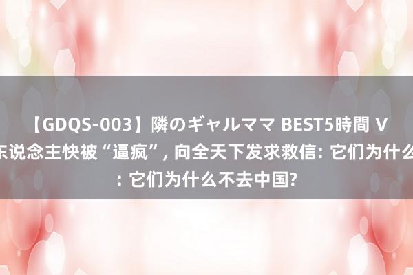 【GDQS-003】隣のギャルママ BEST5時間 Vol.2 越南东说念主快被“逼疯”, 向全天下发求救信: 它们为什么不去中国?