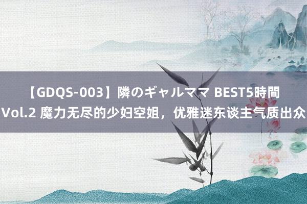 【GDQS-003】隣のギャルママ BEST5時間 Vol.2 魔力无尽的少妇空姐，优雅迷东谈主气质出众